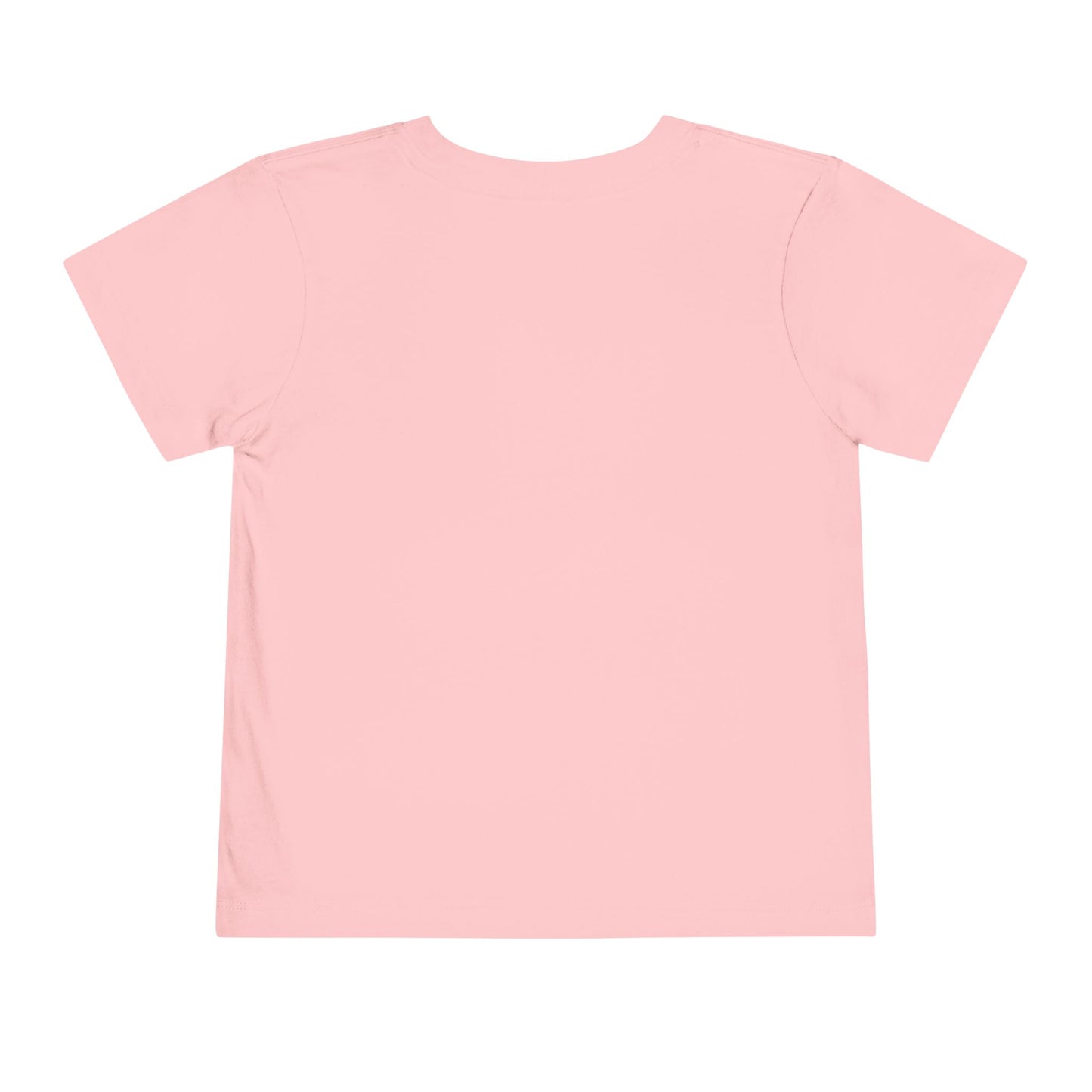 FD-Aspec Toddler Tee