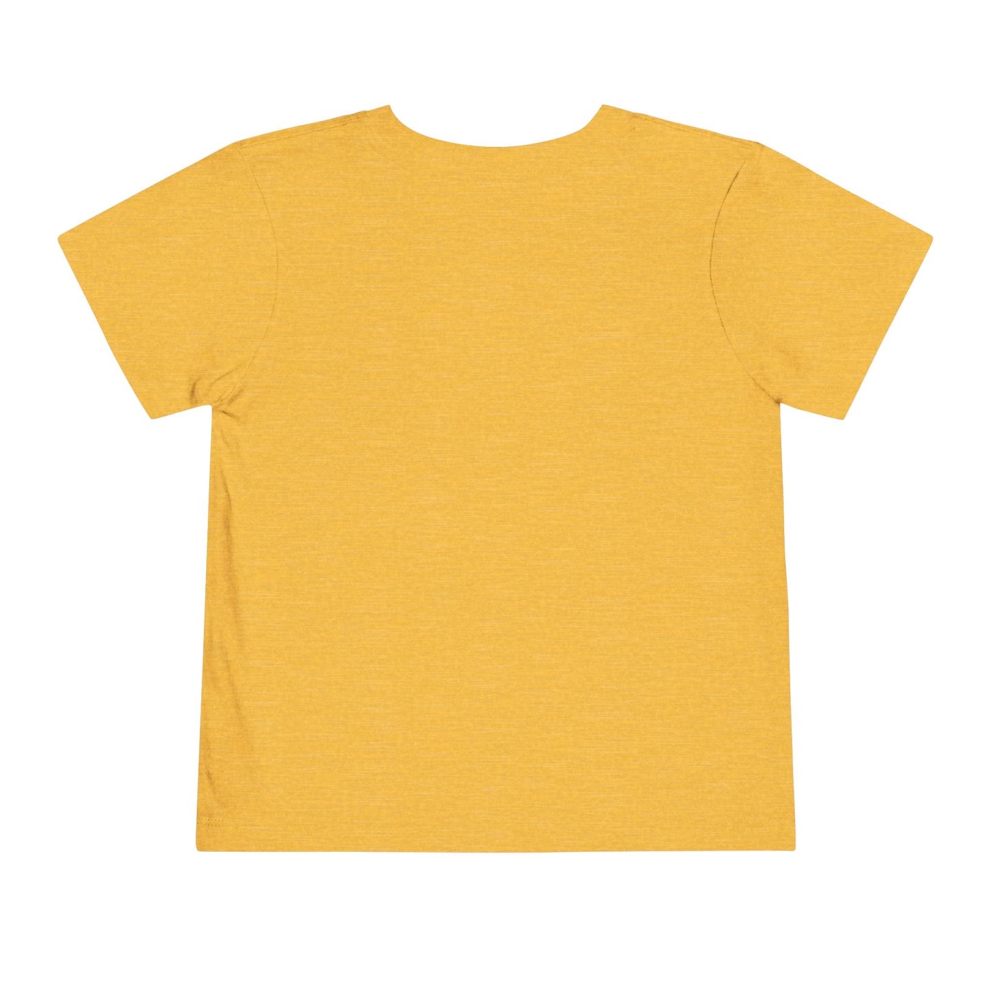 FD-Aspec Toddler Tee