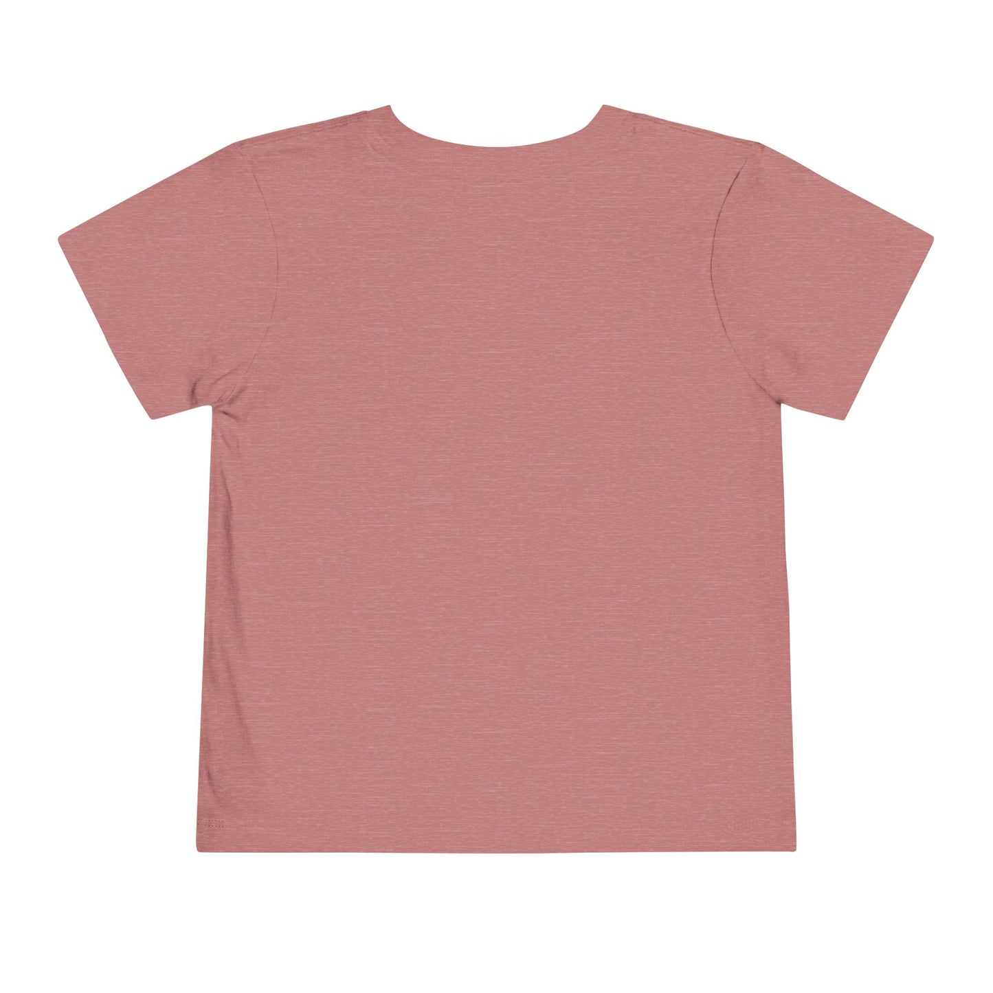 FD-Aspec Toddler Tee